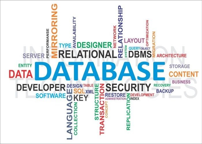 Database website