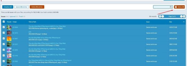 plugin Media Cleaner